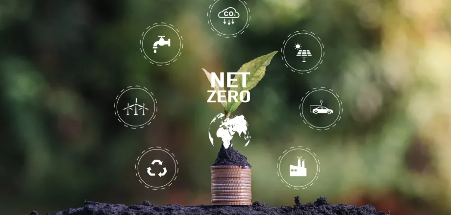 Net zero